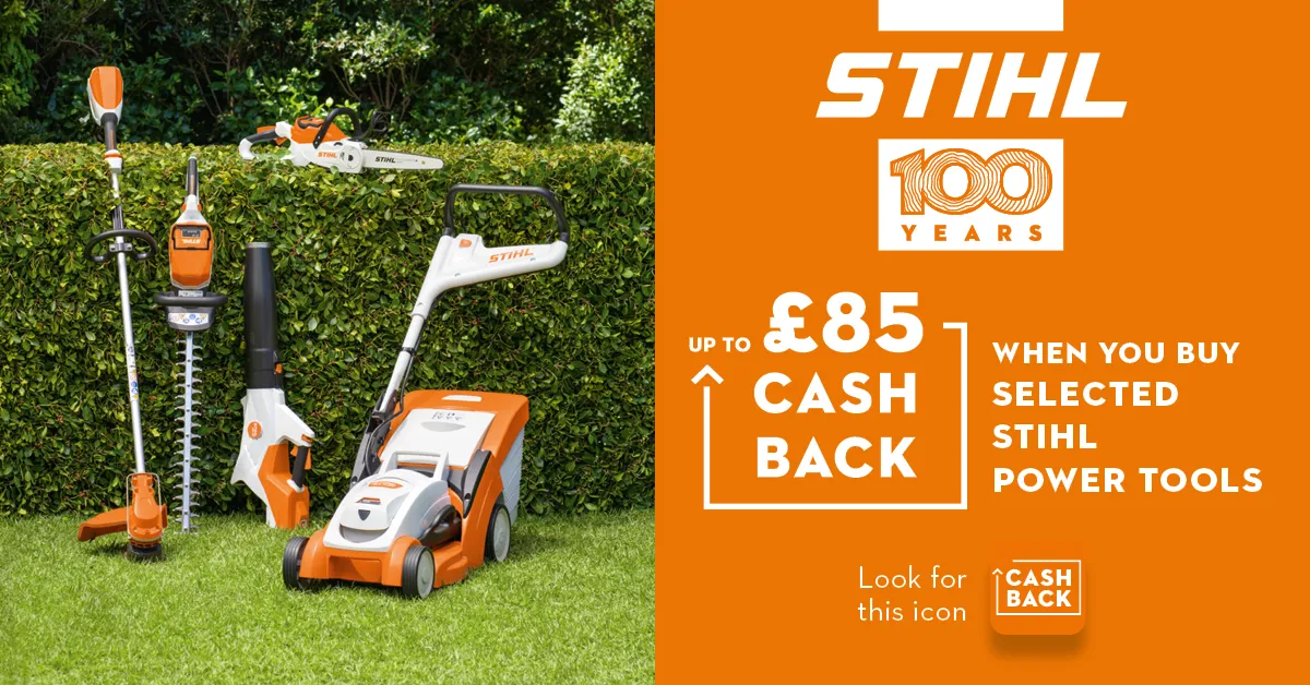 Image of the promotion banner