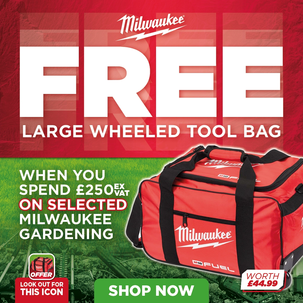 Image of the promotion banner