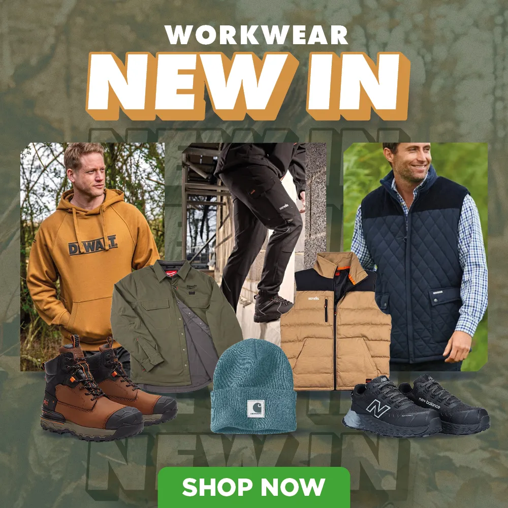 Seasonal New In