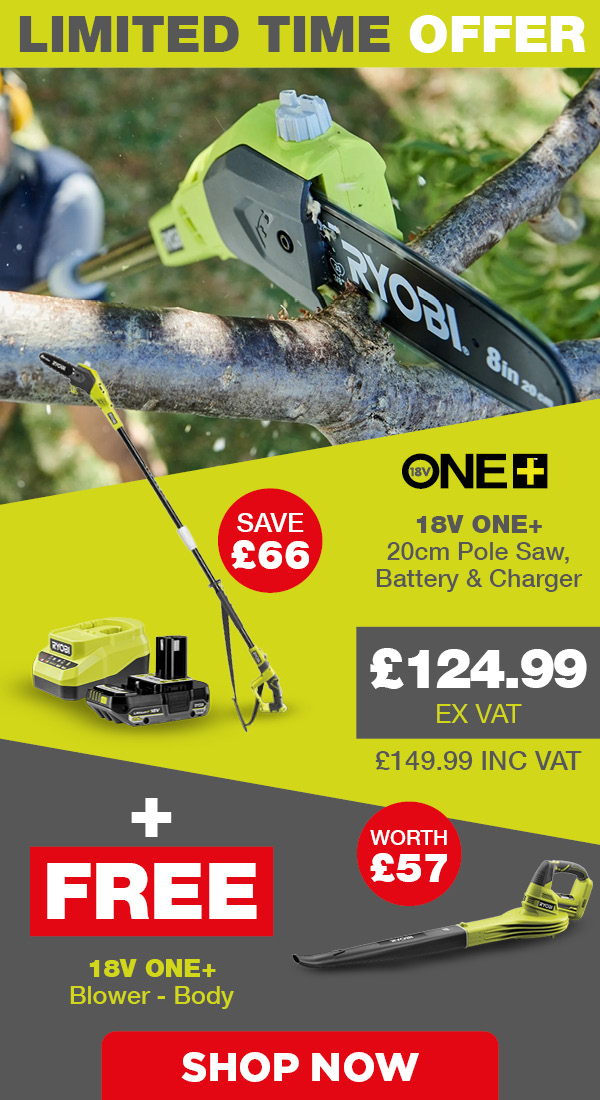 Ryobi 18V ONE+ Pole Saw deal