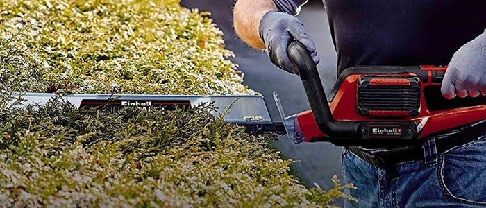 Image of a hedge trimmer